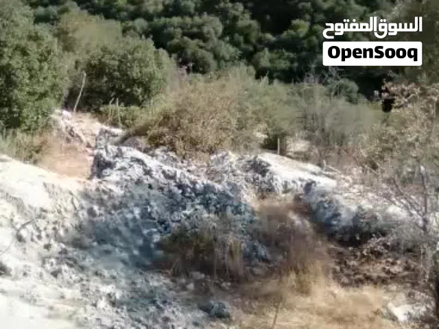 Mixed Use Land for Sale in Ajloun Other