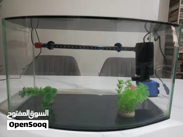 حوض اسماك زينة زجاجي جاهز للاستخدام