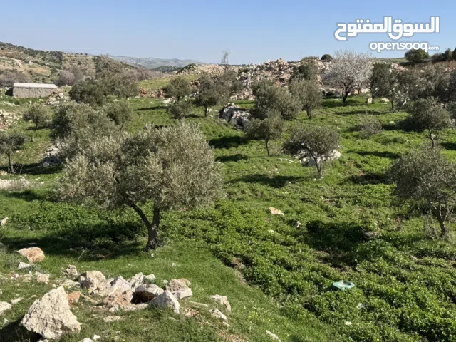 Mixed Use Land for Sale in Ajloun Sakhra