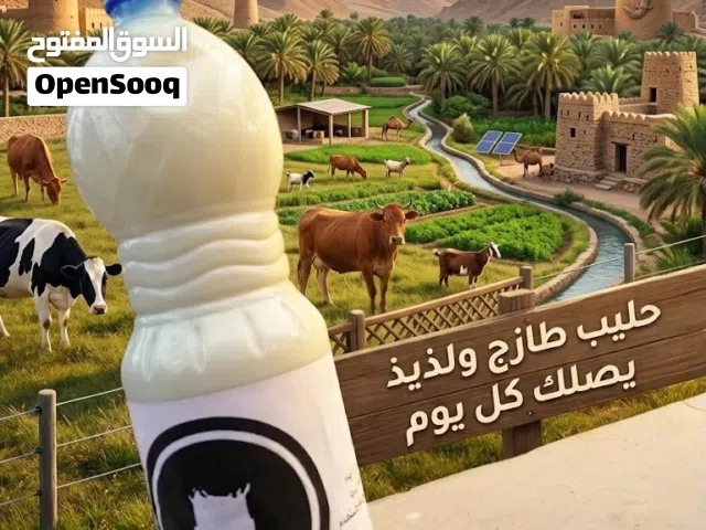 حليب ابقار للبيع