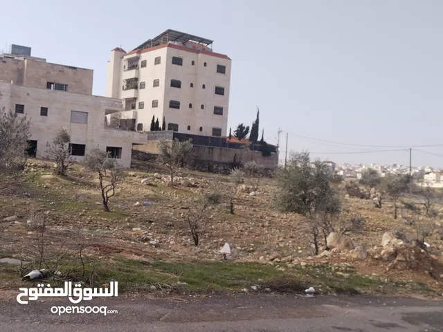 Residential Land for Sale in Amman Shafa Badran