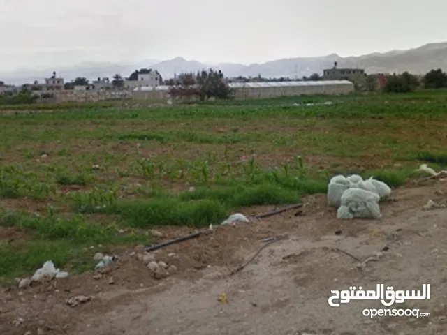 Residential Land for Sale in Jericho Palestine St.