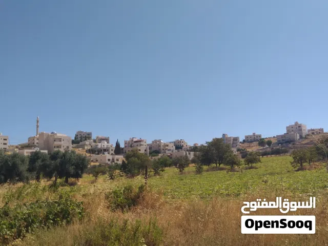 Residential Land for Sale in Amman Naour