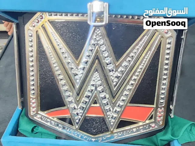 WWE WORLD HEVY Weight champion ship