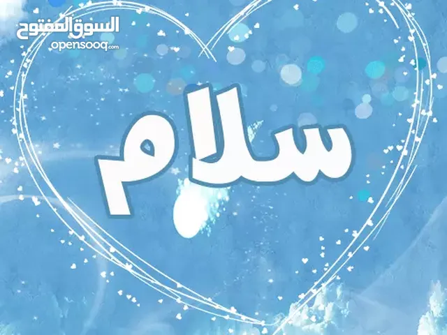 حمدي الشيبه