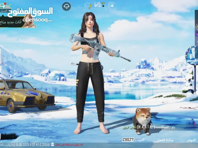 Pubg Accounts and Characters for Sale in Abu Dhabi