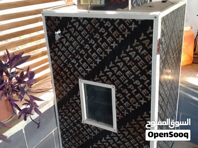 فقاسة دجاج للبيع
