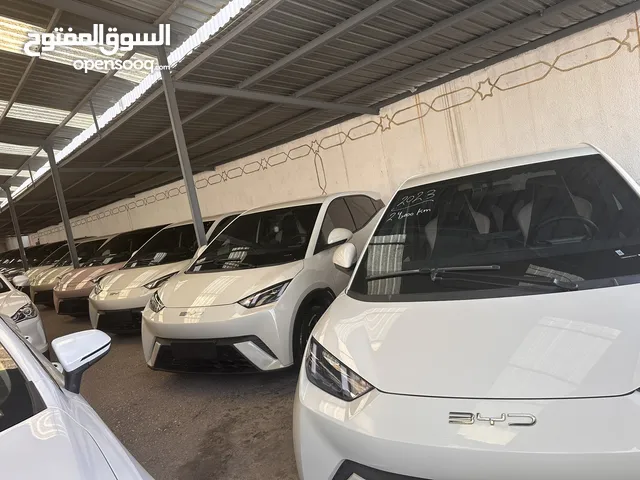Used BYD Seagull in Zarqa