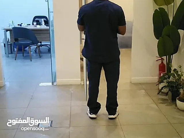 شركة مكافحة حشرات الصراصير والبق والنمل والوزغ بالمدينة المنورة بأفضل الأسعار