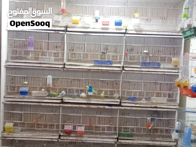 ستاند يونت 5 طوابق للبيع او البدل