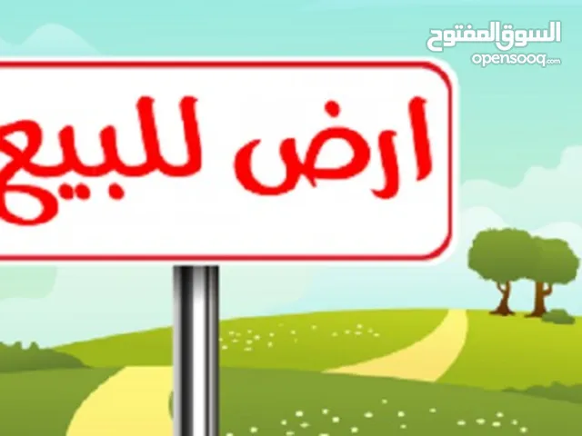 Residential Land for Sale in Baghdad Jihad