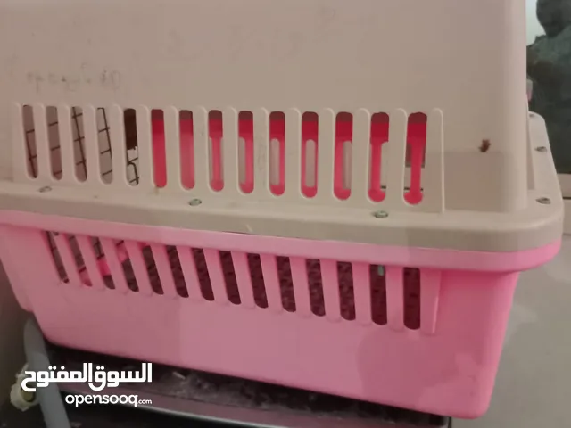 Pet carrier 20bd