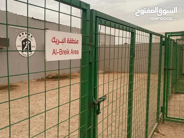 فندقة وتدريب كلاب بسعر منافس