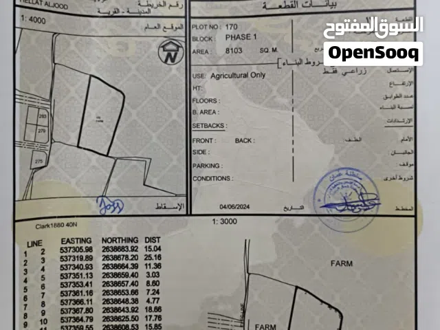 ارضين شبك  زراعيه ومن الممكن تحويلها سكنيه في السويق الخضراء