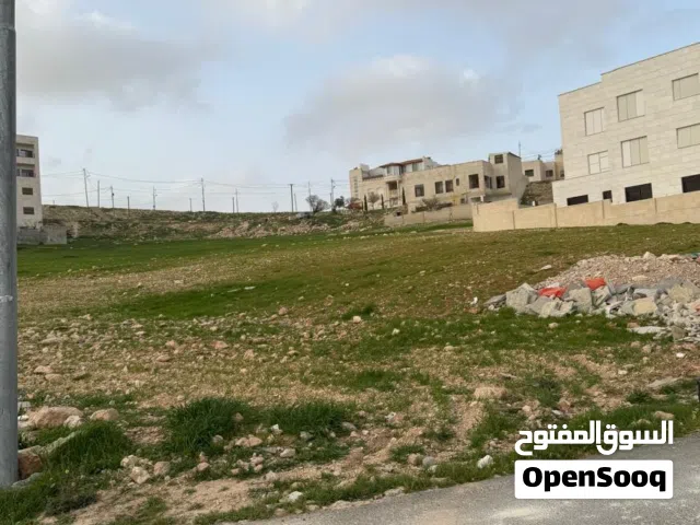 Residential Land for Sale in Amman Shafa Badran