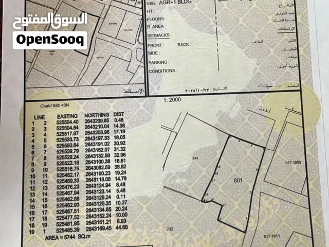 ارض زراعية للايجار تربة نظيفة لم تزرع منذ 10سنوات تقريبا