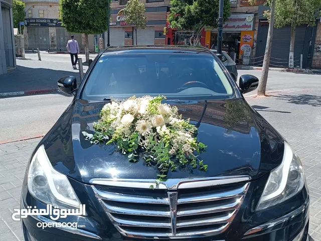 Used Genesis Other in Ramallah and Al-Bireh