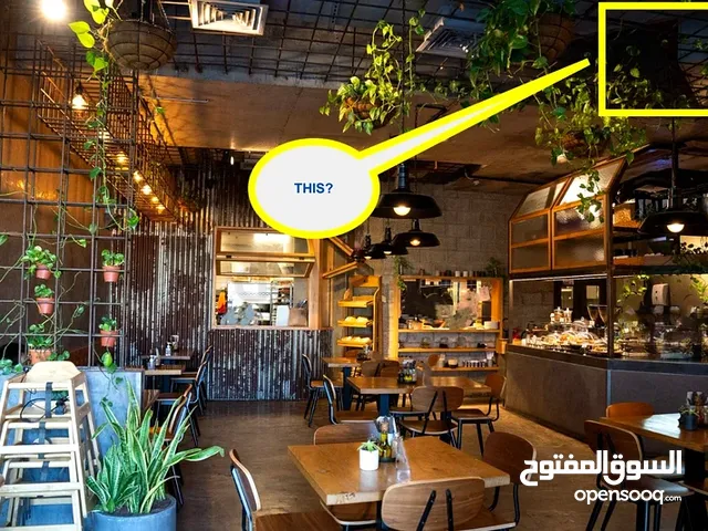 Restaurant Bakery Business for Sale – Fully Equipped Fitted