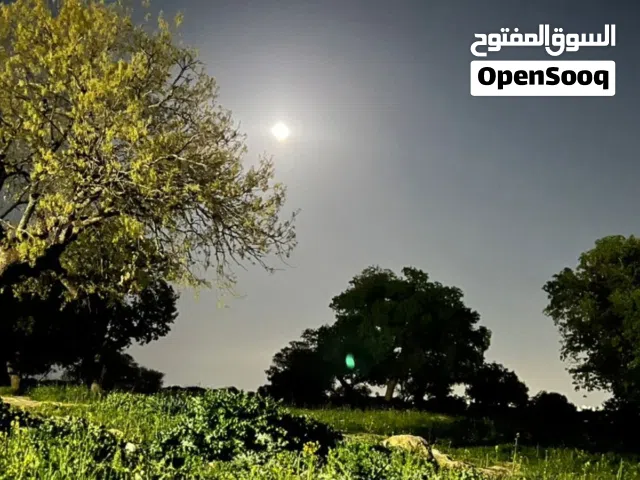 Furnished Monthly in Amman Wadi El Seer