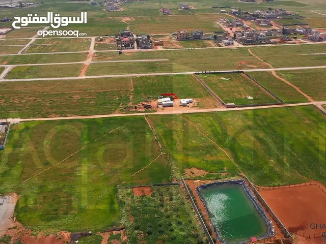 للبيع أرض في رجم الشامي -قرب شارع الميه بسعر منافس