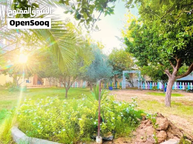 بيع مجموعة قطع أراضي