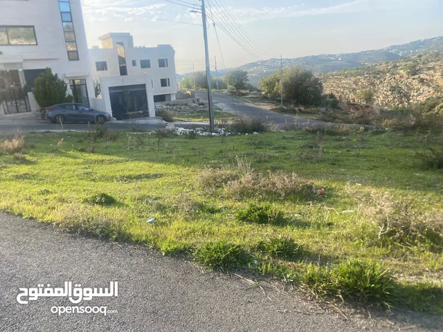 Residential Land for Sale in Amman Abu Al-Sous