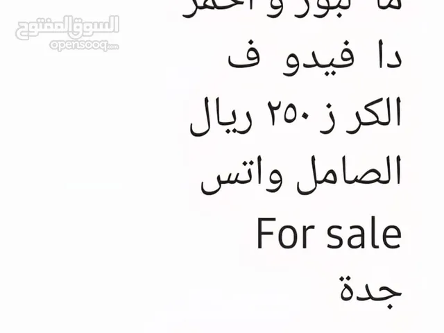 سويسري مابورو احمر وذهبي قولد وديفيدوف سوق حره