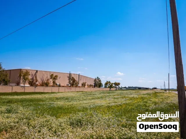 ارض صناعي في القسطل