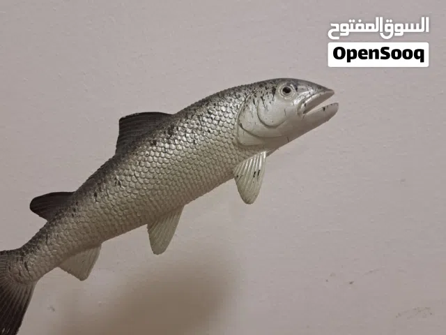 لعبة سمكة للاطفال