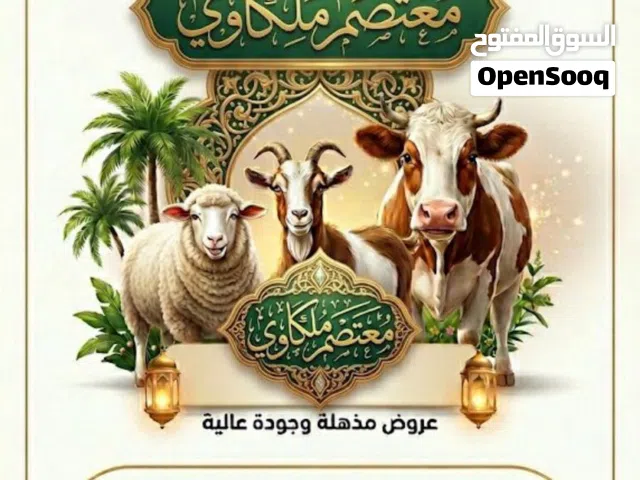 لحام متنقل لذبح جميع انواع الاضاعي داخل اربد ولواء بني كنانه
