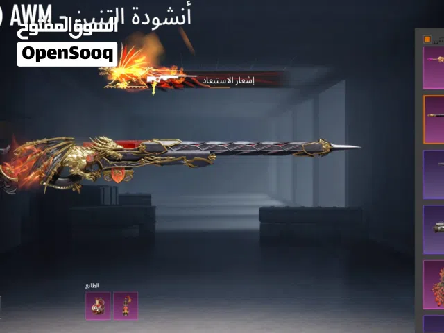Pubg Accounts and Characters for Sale in Northern Governorate