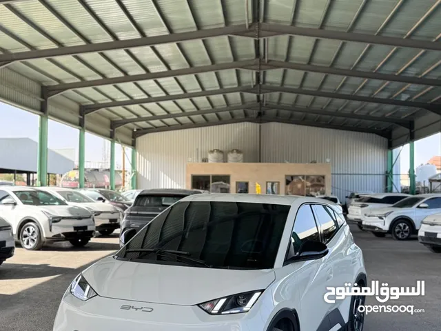 سيجال 2023