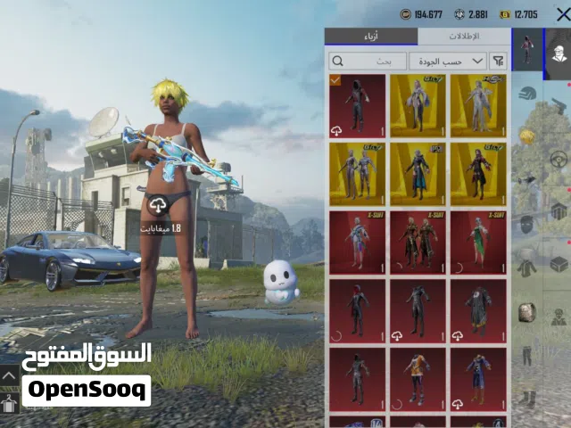 Pubg Accounts and Characters for Sale in Ibb