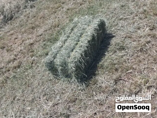 حشيش للبيع