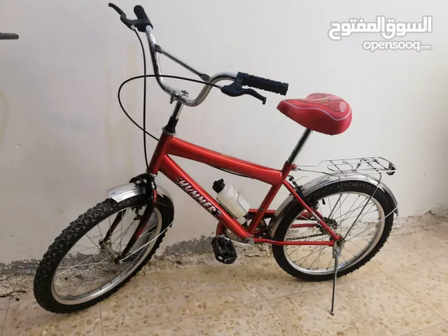 بسكليت ولادي