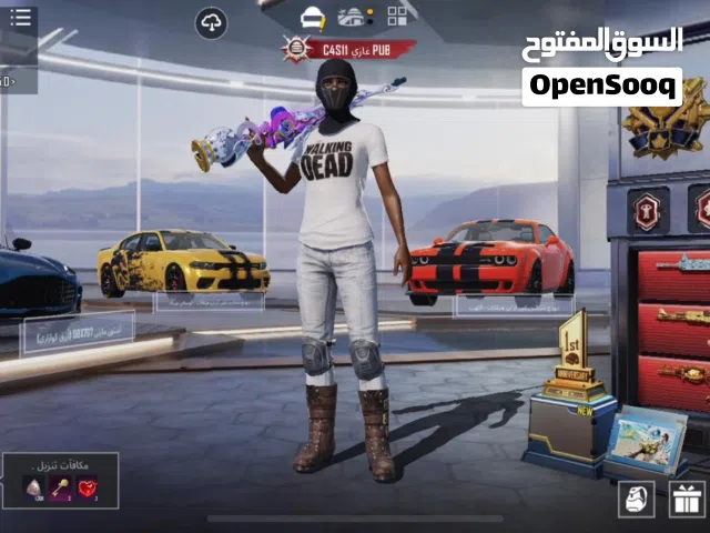 Pubg Accounts and Characters for Sale in Amman