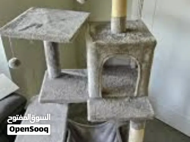 بيت للبزونه