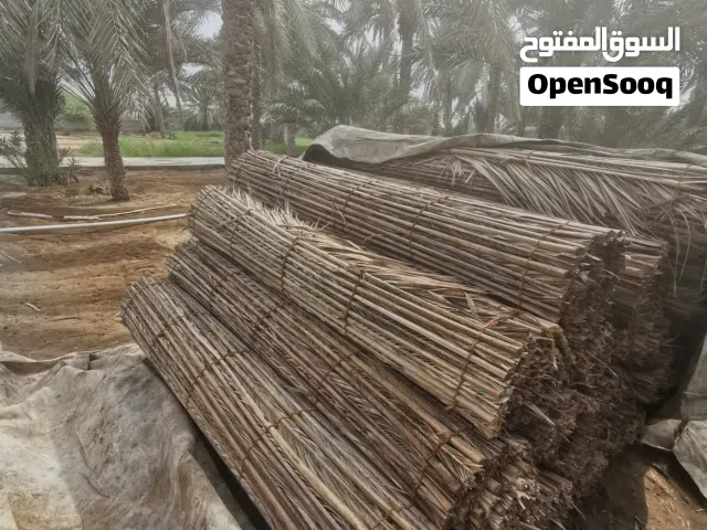 دعون طول 8 اذرع حجم الكبير