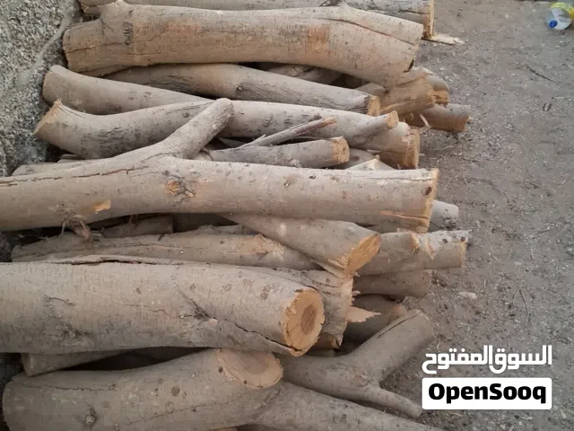 حطب سمر  مضمون 100/100