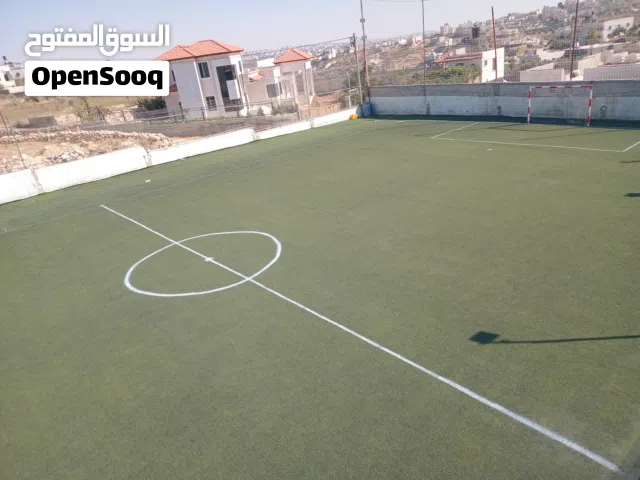نجيل 4 سانتي