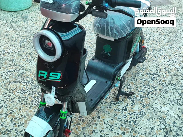 2026 اخرى اخرى