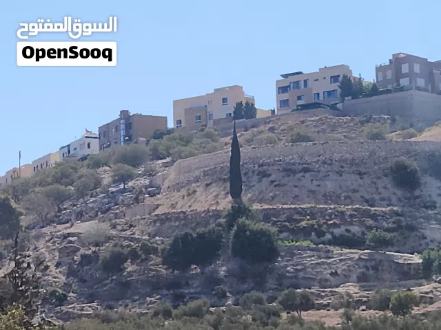Farm Land for Sale in Salt Al Balqa'