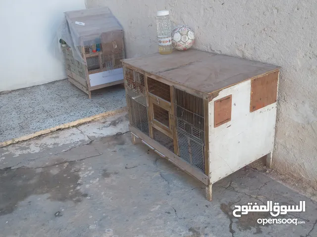 عدد 2 سزنة للبيع
