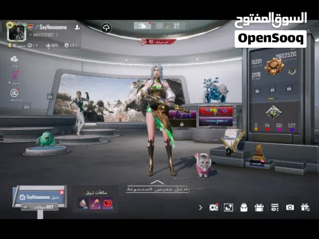 Pubg Accounts and Characters for Sale in Latakia