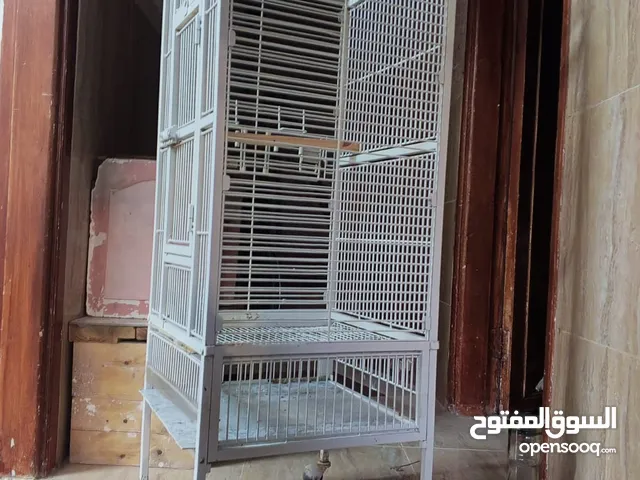 قفص ببغاء للبيع 35 دينار أو للبدل
