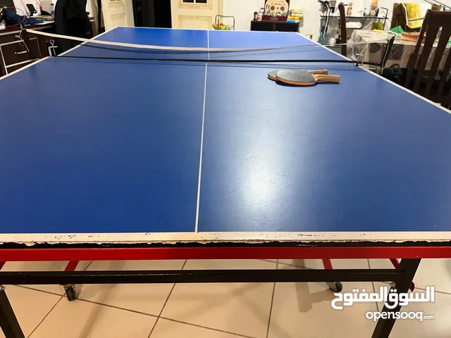 movable and foldable table tennis MARSHAL-LORD