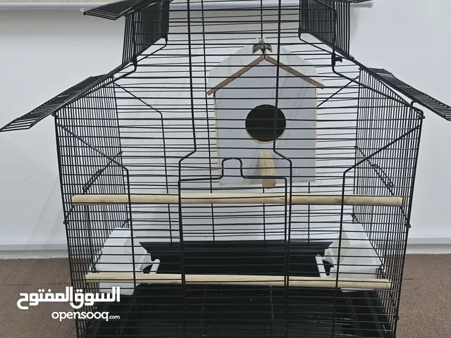 قفص مع بيت للتزاوج
