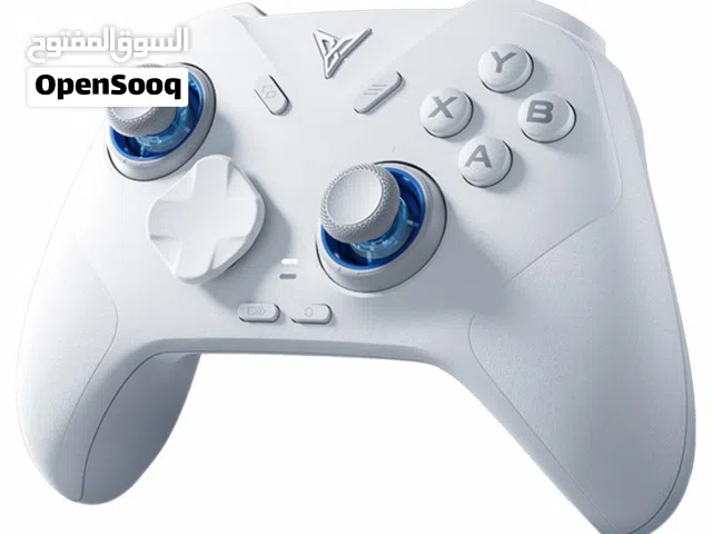 Flydigi Direwolf 4 with Wireless Dock