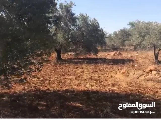 3 قطع ارض رقم 5 ورقم 7 مساحة رقم 5 ،،،، 1745 متر  مساحة رقم 7 ،،،، 1500 متر  ورقم 44،،، مساحتها 5000