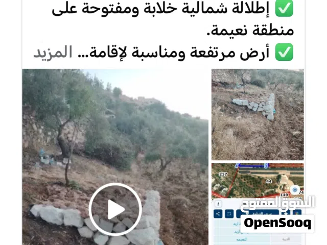 Farm Land for Sale in Irbid An-Nuayyimah
